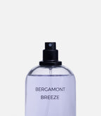 Bergamont Breeze