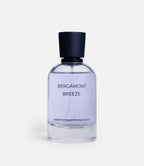 Bergamont Breeze