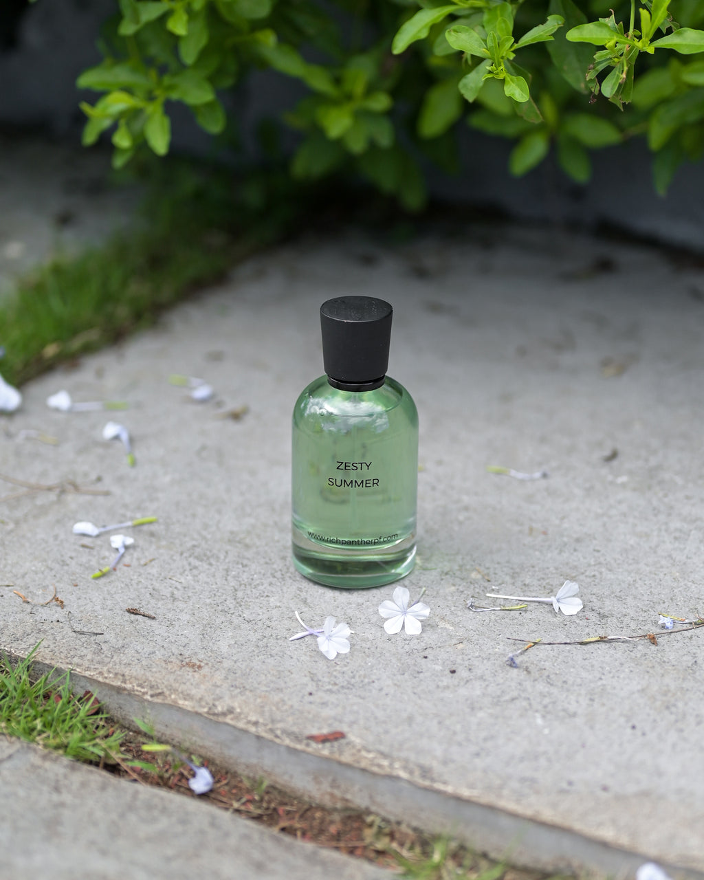 Zesty Summer