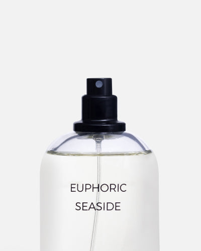 Euphoric Seaside