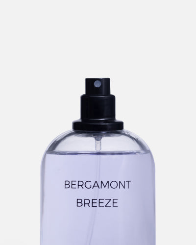 Bergamont Breeze